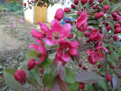 CIMG0508_600x600_100KB.jpg