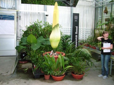 DSCF0468-Groß.JPG