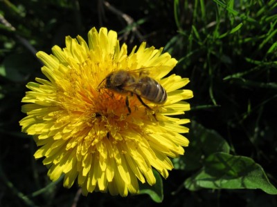 22.04.11 033.JPG