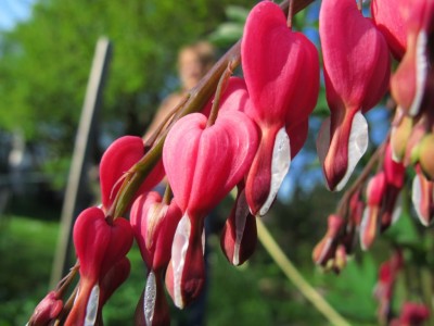 22.04.11 067.JPG