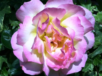 PICT0199.JPG