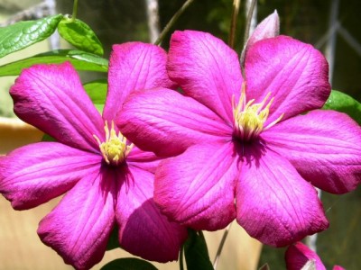 PICT0198.JPG