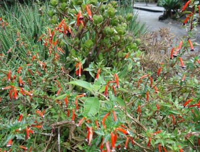 49. Unbekannte von Quito, DSC03756.JPG