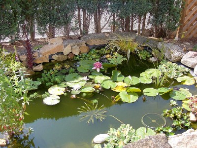 4Teich Juli 2004.JPG