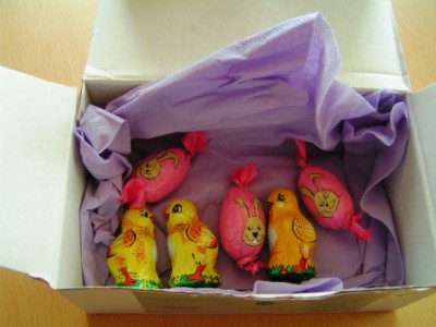 2011-04-24 Nebelleuchten Osterwichteln 005.JPG