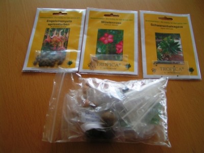 2011-04-24 Nebelleuchten Osterwichteln 006.JPG