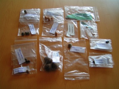 2011-04-24 Nebelleuchten Osterwichteln 007.JPG