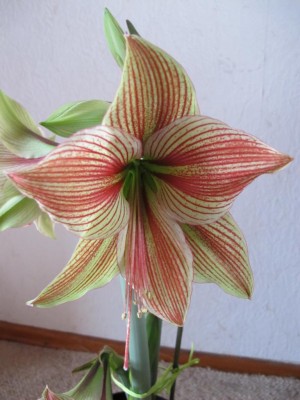 25.04.11 005.JPG