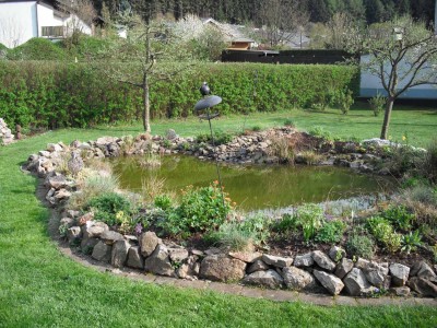 Teich-2.JPG