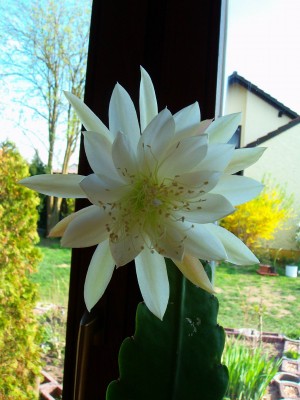 Größenänderung 100D3068.JPG