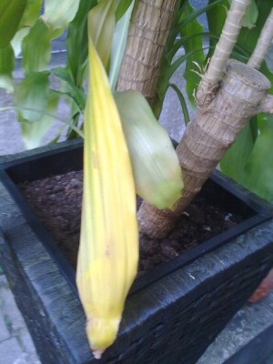 26042011016.jpg