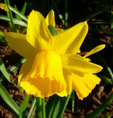 100D2665.JPG