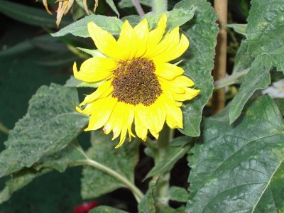 IMGP1889.JPG