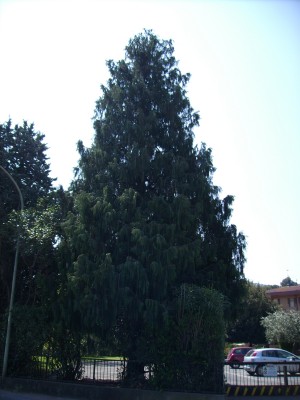 PICT0185.jpg