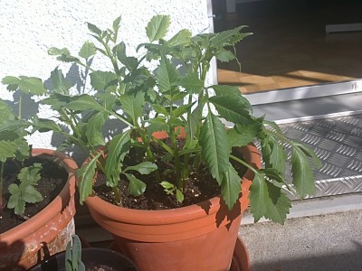 30042011903.JPG