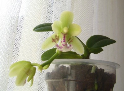PIC_0007.JPG