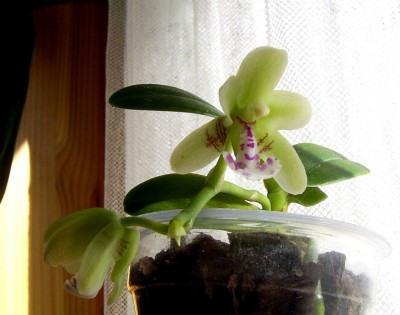 PIC_0005.JPG