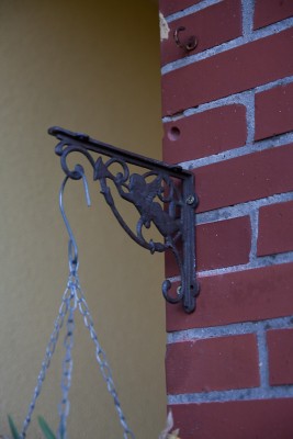 IMG_3656.jpg
