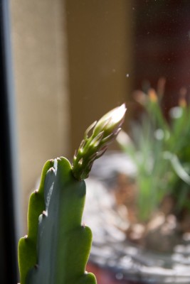 IMG_3683.jpg