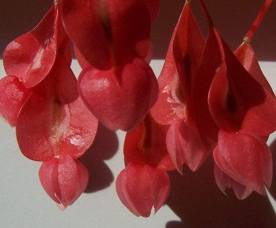 100_4716.jpg