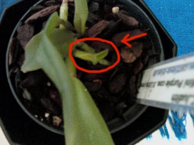 IMG055-01.jpg1.jpg