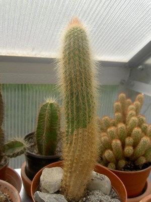 Bild4.JPG