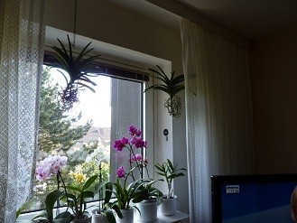 P1000330 (2).jpg