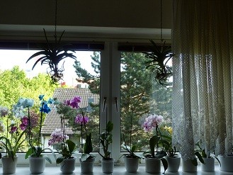 P1000327 (2).jpg