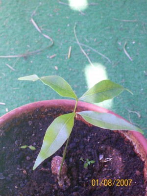100_0377.JPG
