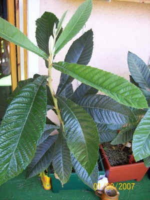 100_0374.JPG