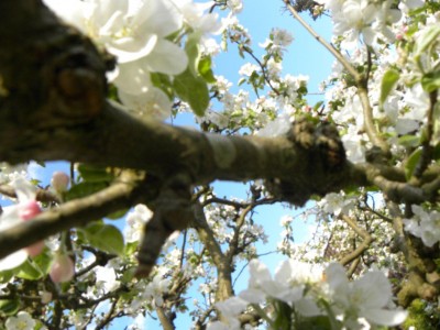 DSCN1145.jpg