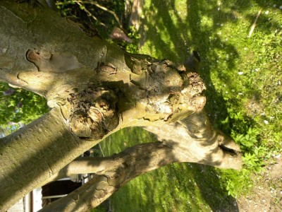 DSCN1144.jpg