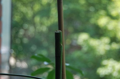 DSC_0935.JPG