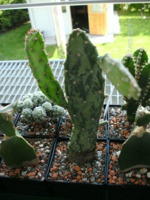 BILD0011.JPG