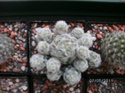 BILD0009.JPG