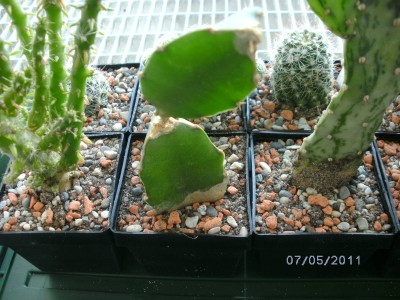 BILD0008.JPG