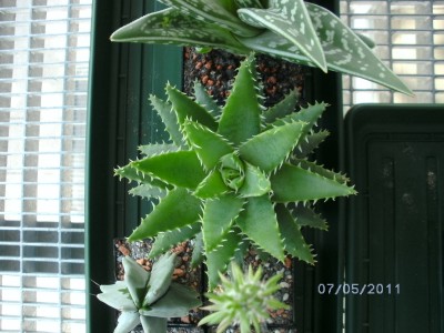 BILD0007.JPG
