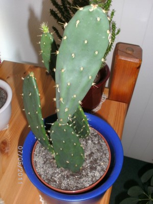 BILD0005.JPG