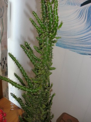 BILD0004.JPG