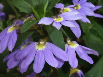 RIMG0088.JPG