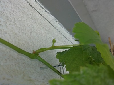 08052011255.JPG