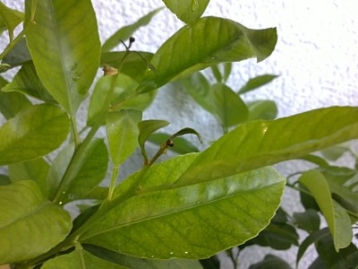 08052011251.JPG