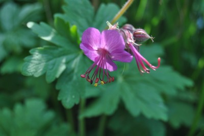 aaaaaaaaaaaaaaaaaaaaaaaaaaaaaaaaaaaaaaaaaaaaaaaaaaaaaaaaaaaaaaaaaaaaaaa (14) (1280x850).jpg