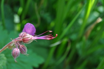 aaaaaaaaaaaaaaaaaaaaaaaaaaaaaaaaaaaaaaaaaaaaaaaaaaaaaaaaaaaaaaaaaaaaaaa (13) (1280x850).jpg