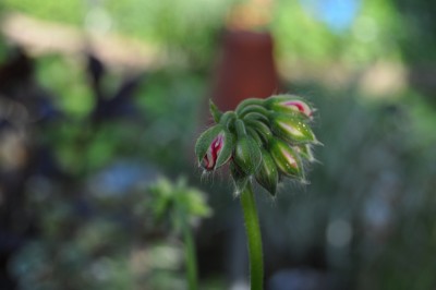 aaaaaaaaaaaaaaaaaaaaaaaaaaaaaaaaaaaaaaaaaaaaaaaaaaaaaaaaaaaaaaaaaaaaaaa (17) (1280x850).jpg