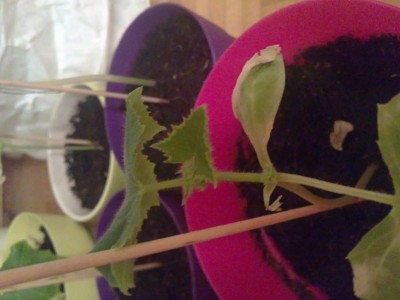 08052011073.JPG
