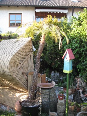 K800_IMG_2339.JPG