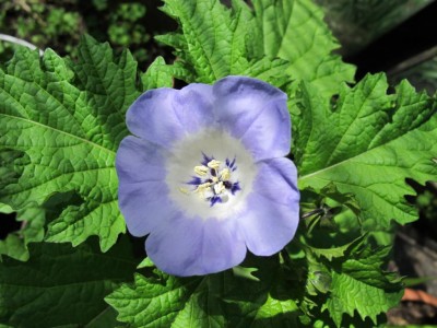 09.05.11 025.JPG