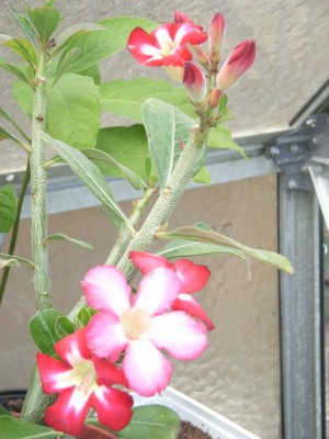 RIMG0076.JPG