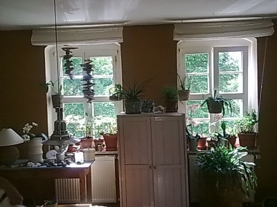 Fenster.....JPG